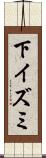 下イズミ Scroll