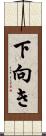 下向き Scroll