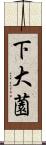 下大薗 Scroll