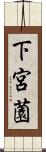 下宮薗 Scroll