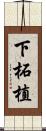 下柘植 Scroll