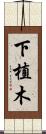 下植木 Scroll