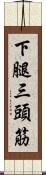 下腿三頭筋 Scroll