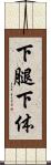 下腿 Scroll