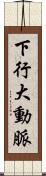 下行大動脈 Scroll
