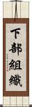 下部組織 Scroll