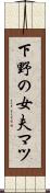 下野の女夫マツ Scroll