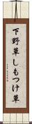 下野草 Scroll