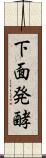 下面発酵 Scroll