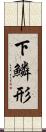 下鱗形 Scroll