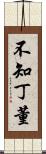 不知丁董 Scroll