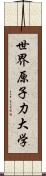 世界原子力大学 Scroll
