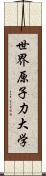 世界原子力大学 Scroll