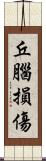 丘腦損傷 Scroll