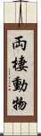 両棲動物 Scroll