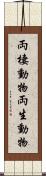 両棲動物 Scroll