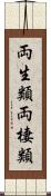両生類 Scroll