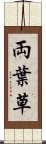 両葉草 Scroll