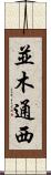 並木通西 Scroll