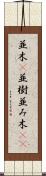 並木(P) Scroll