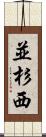 並杉西 Scroll