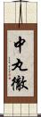 中丸徹 Scroll