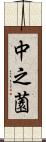 中之薗 Scroll
