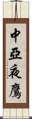 中亞夜鷹 Scroll