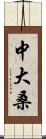 中大桑 Scroll