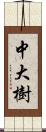 中大樹 Scroll