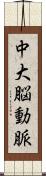 中大脳動脈 Scroll