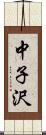 中子沢 Scroll