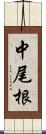 中尾根 Scroll