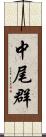 中尾群 Scroll