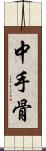 中手骨 Scroll