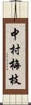 中村梅枝 Scroll