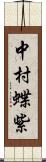 中村蝶紫 Scroll