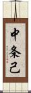 中条己 Scroll