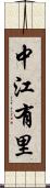 中江有里 Scroll