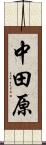 中田原 Scroll