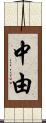 中由 Scroll