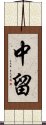 中留 Scroll