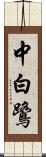 中白鷺 Scroll