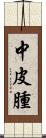 中皮腫 Scroll