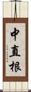 中直根 Scroll