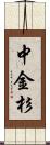 中金杉 Scroll