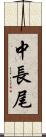 中長尾 Scroll