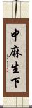 中麻生下 Scroll