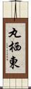 丸栖東 Scroll