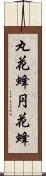 丸花蜂 Scroll